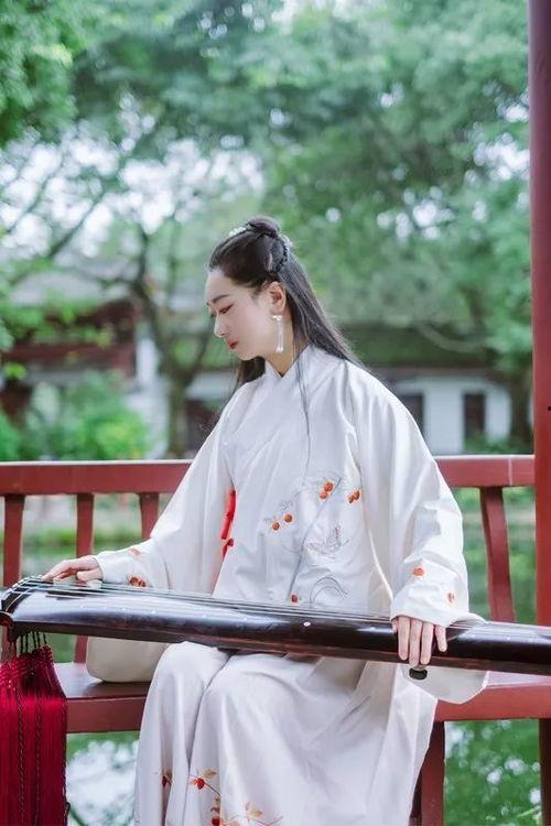 故园梦蝶付东流,一场东流岁月的追忆之旅