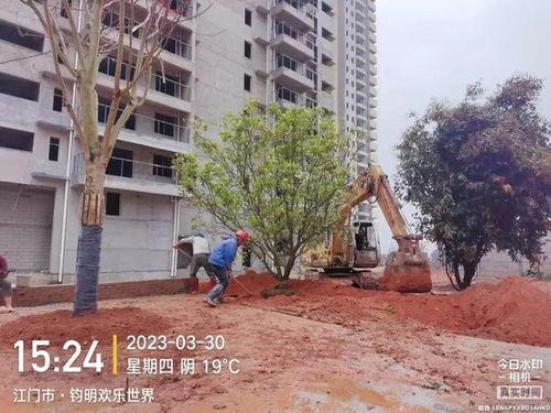 誓保家园,英勇战士的忠诚誓言与家园守护之路