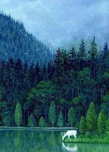 愤怒的叶河,激流勇进，探寻生态与文明的冲突